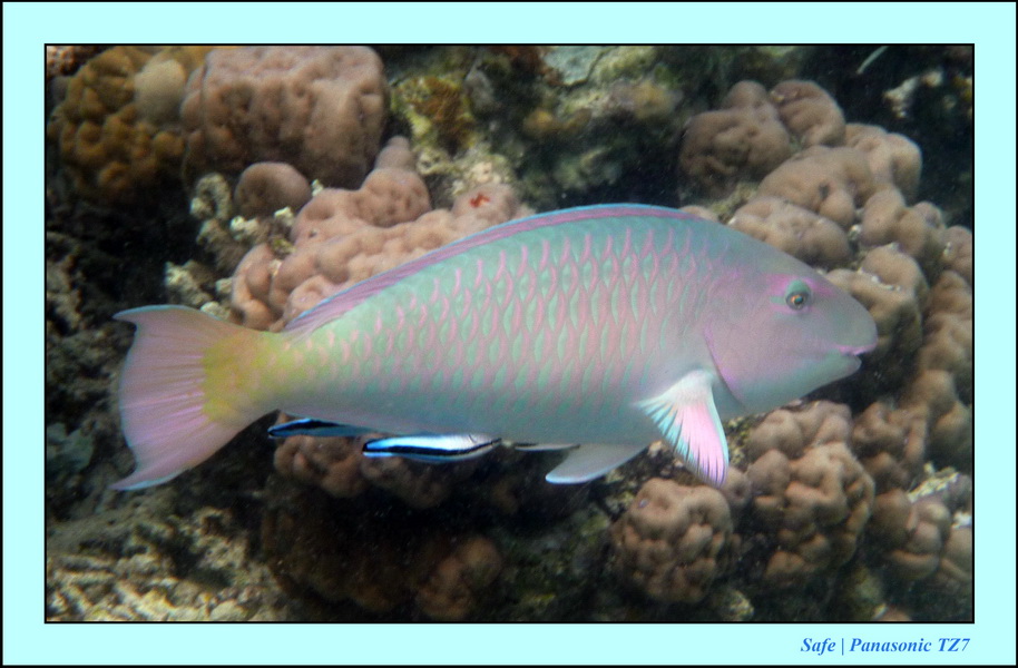 2009   07   Matakin 32